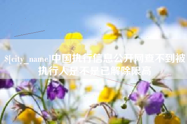 赤壁中国执行信息公开网查不到被执行人是不是已解除限高