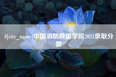 赤壁中国消防救援学院2021录取分数