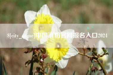 赤壁中国消防官网报名入口2024