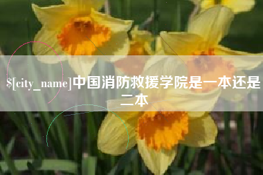 赤壁中国消防救援学院是一本还是二本
