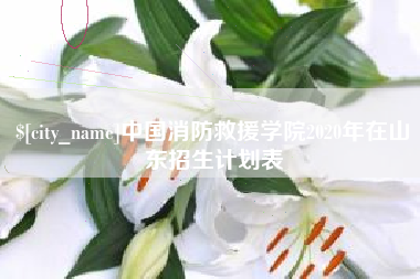 赤壁中国消防救援学院2020年在山东招生计划表