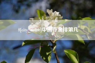 赤壁中国夺金排第几