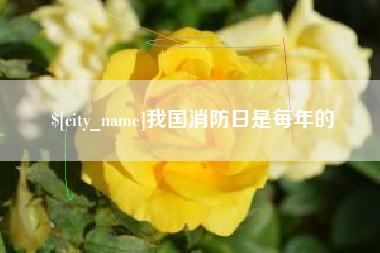 赤壁我国消防日是每年的