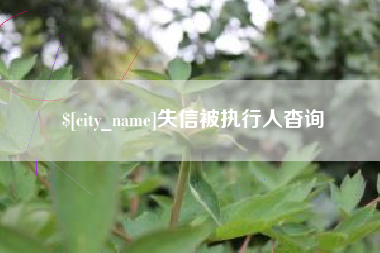 赤壁失信被执行人杳询