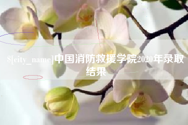 赤壁中国消防救援学院2020年录取结果