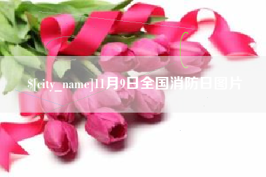 赤壁11月9日全国消防日图片