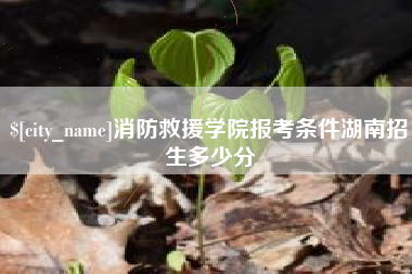 赤壁消防救援学院报考条件湖南招生多少分