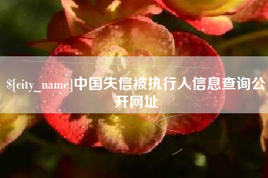 赤壁中国失信被执行人信息查询公开网址