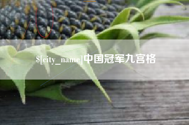 赤壁中国冠军九宫格