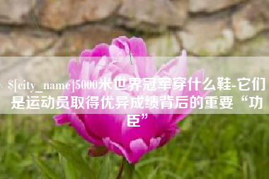 赤壁5000米世界冠军穿什么鞋-它们是运动员取得优异成绩背后的重要“功臣”