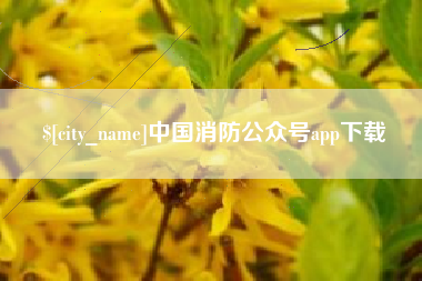赤壁中国消防公众号app下载