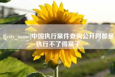 赤壁中国执行案件查询公开网都是执行不了得案子