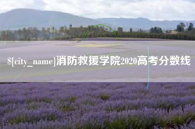 赤壁消防救援学院2020高考分数线