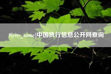 赤壁中国执行信息公开网查询