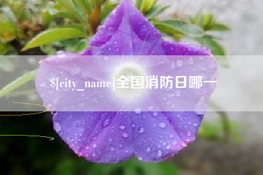 赤壁全国消防日哪一