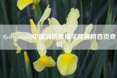 赤壁中国消防救援学院官网首页查询
