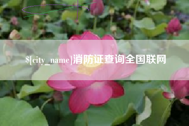 赤壁消防证查询全国联网