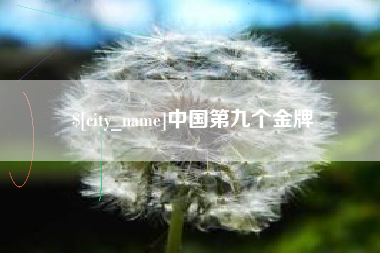 赤壁中国第九个金牌