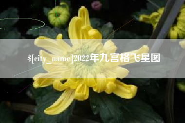 赤壁2022年九宫格飞星图
