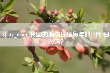 赤壁我国的消防日是每年的11月9日对吗？