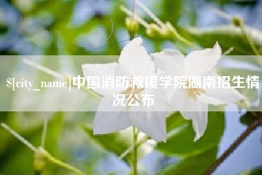 赤壁中国消防救援学院湖南招生情况公布
