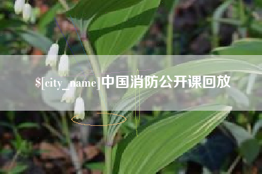 赤壁中国消防公开课回放