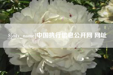 赤壁中国执行信息公开网 网址