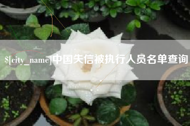 赤壁中国失信被执行人员名单查询