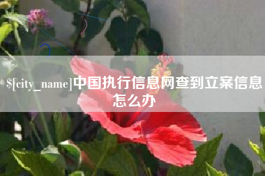 赤壁中国执行信息网查到立案信息怎么办