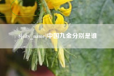赤壁中国九金分别是谁