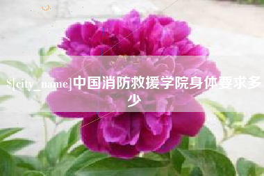 赤壁中国消防救援学院身体要求多少