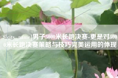 赤壁男子5000米长跑决赛-更是对5000米长跑决赛策略与技巧完美运用的体现