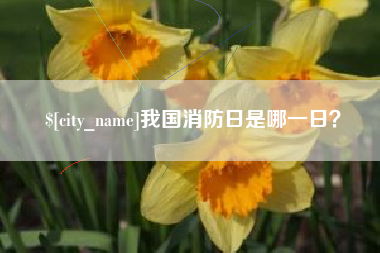 赤壁我国消防日是哪一日？