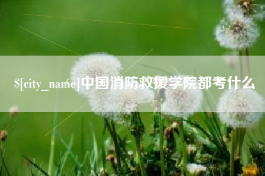 赤壁中国消防救援学院都考什么