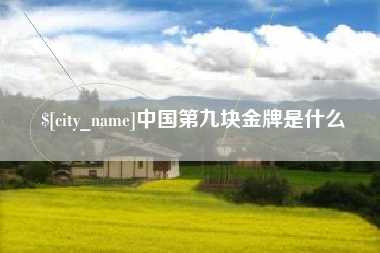 赤壁中国第九块金牌是什么