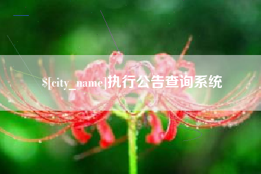 赤壁执行公告查询系统