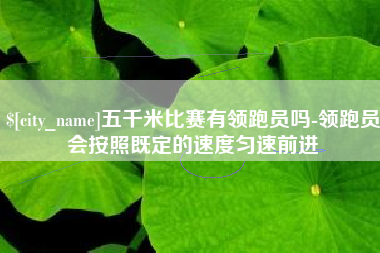 赤壁五千米比赛有领跑员吗-领跑员会按照既定的速度匀速前进
