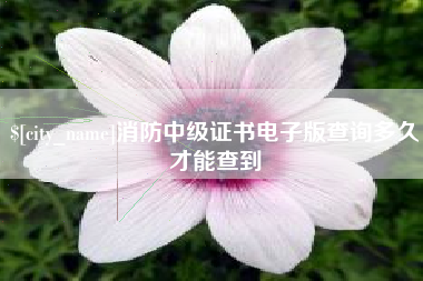 赤壁消防中级证书电子版查询多久才能查到