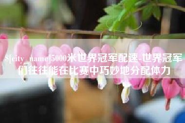 赤壁5000米世界冠军配速-世界冠军们往往能在比赛中巧妙地分配体力