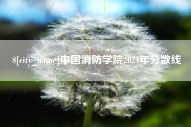 赤壁中国消防学院2024年分数线