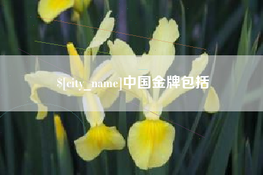 赤壁中国金牌包括