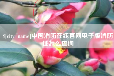 赤壁中国消防在线官网电子版消防证怎么查询