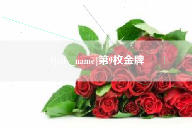 赤壁第9枚金牌