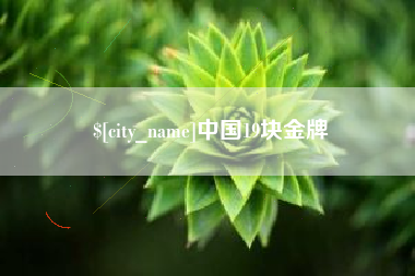 赤壁中国19块金牌