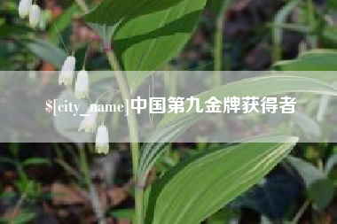 赤壁中国第九金牌获得者