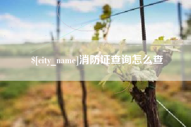 赤壁消防证查询怎么查