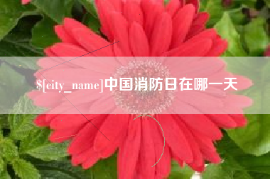 赤壁中国消防日在哪一天
