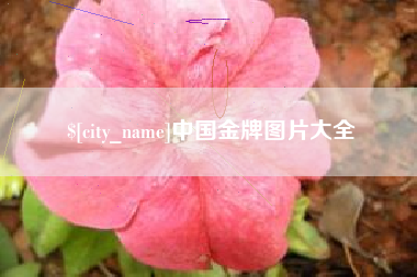 赤壁中国金牌图片大全