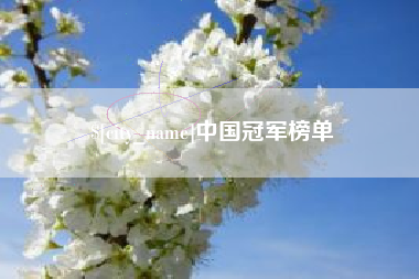 赤壁中国冠军榜单