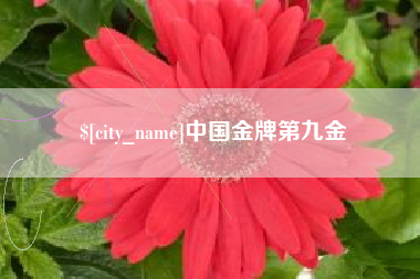 赤壁中国金牌第九金